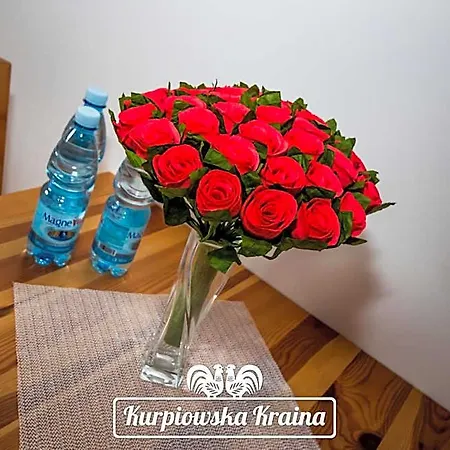 Kurpiowska Kraina 3* Wydmusy
