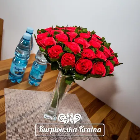 Kurpiowska Kraina 3* Wydmusy